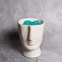 Αρωματιστής Scentchips Visage λευκός