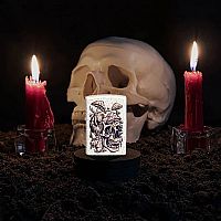 Αναπτήρας Skullshroom Design 49786 Zippo® 