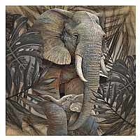 Πίνακας σε Καμβά Ελέφαντες 80x80cmx3cm Marhome 21189
