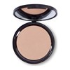 Silky Blusher – Pro.Effect #390 (Sunlit Bronze)